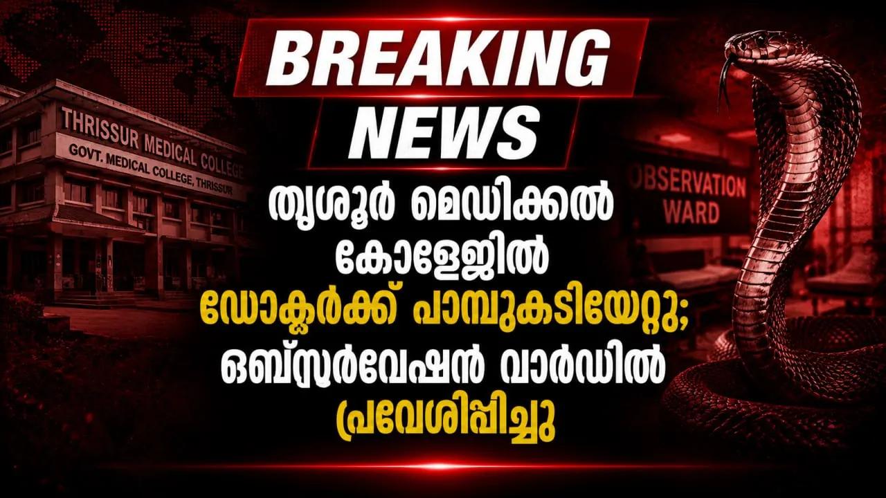 തൃശൂർ മെഡിക്കൽ കോളേജിൽ ഡോക്ടർക്ക് പാമ്പുകടിയേറ്റു; ഒബ്സർവേഷൻ വാർഡിൽ പ്രവേശിപ്പിച്ചു
