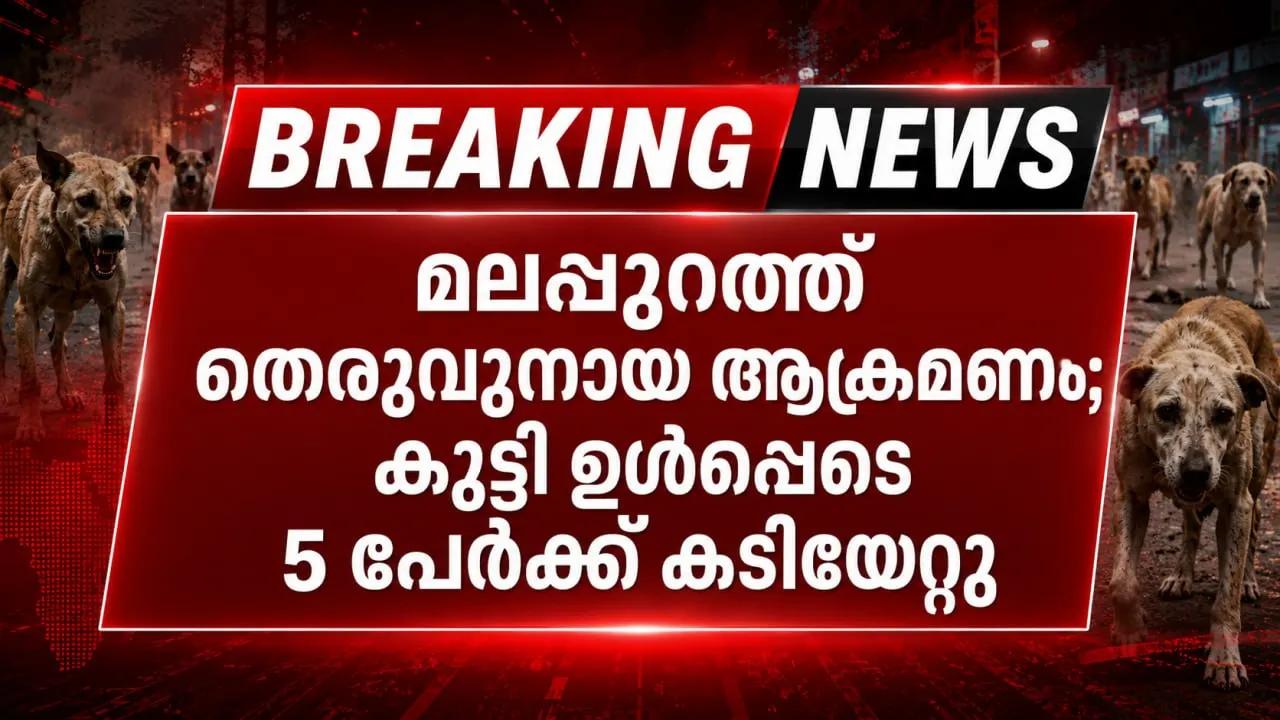 മലപ്പുറത്ത് തെരുവുനായ ആക്രമണം; കുട്ടി ഉൾപ്പെടെ 5 പേർക്ക് കടിയേറ്റു