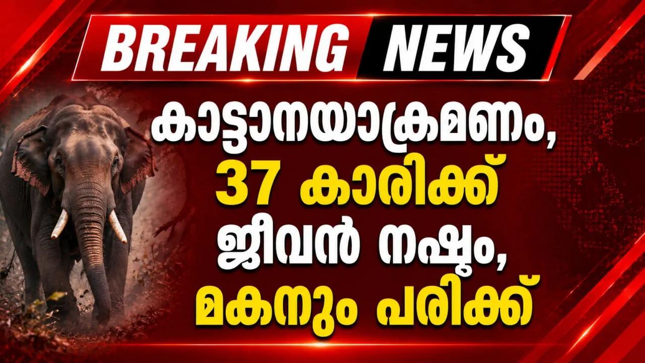 കാട്ടാനയാക്രമണം, 37 കാരിക്ക് ജീവൻ നഷ്ടം, മകനും പരിക്ക്