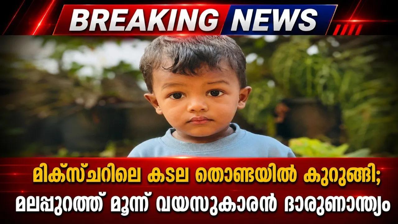 മിക്‌സ്ചറിലെ കടല തൊണ്ടയില്‍ കുരുങ്ങി; മലപ്പുറത്ത് മൂന്ന് വയസുകാരന് ദാരുണാന്ത്യം