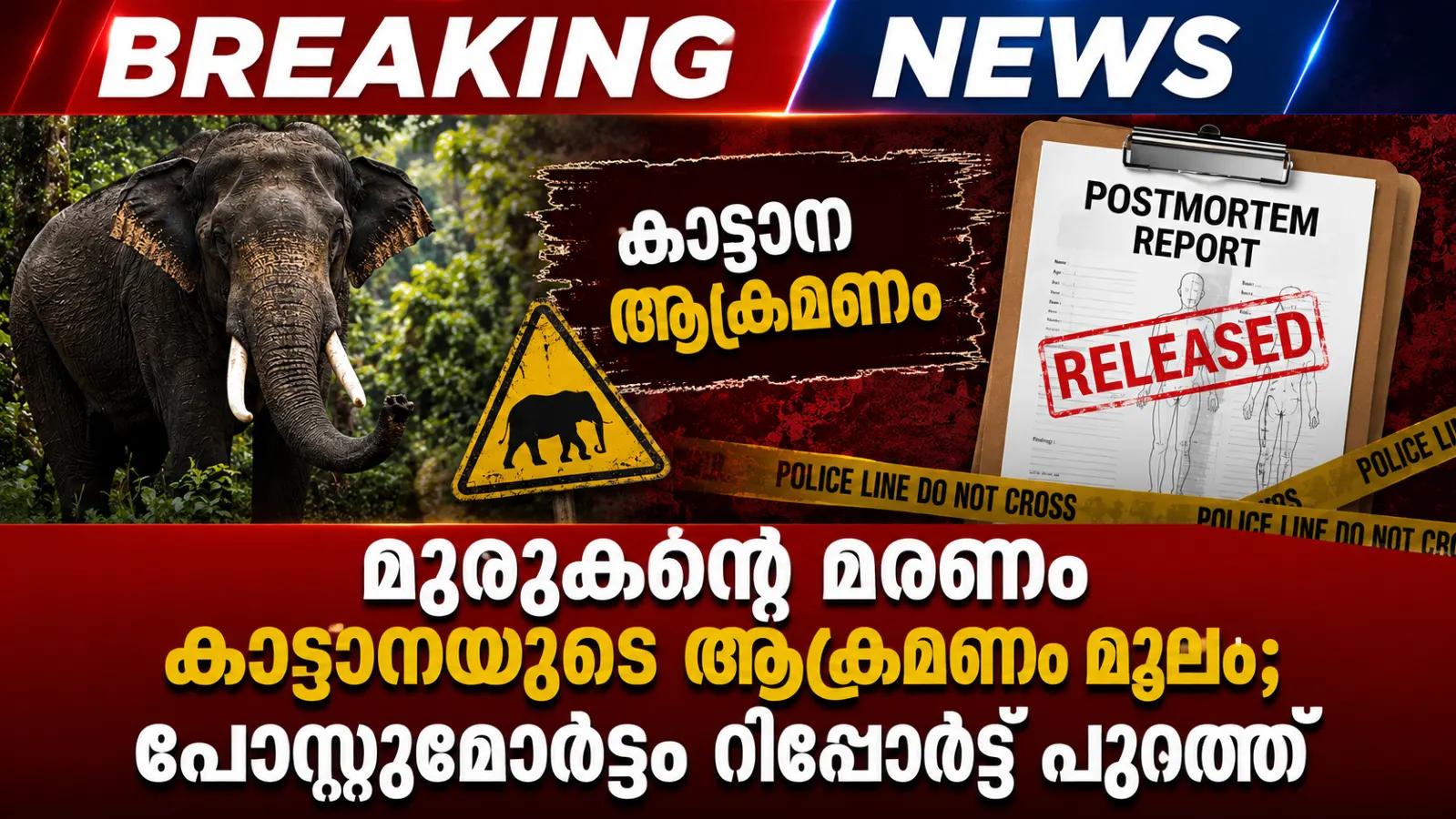 മുരുകന്റെ മരണം കാട്ടാനയുടെ ആക്രമണം മൂലം; പോസ്റ്റുമോർട്ടം റിപ്പോർട്ട് പുറത്ത്