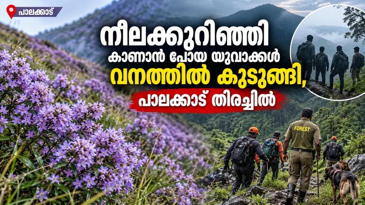 നീലക്കുറിഞ്ഞി കാണാൻ പോയ യുവാക്കൾ വനത്തിൽ കുടുങ്ങി, പാലക്കാട് തിരച്ചിൽ