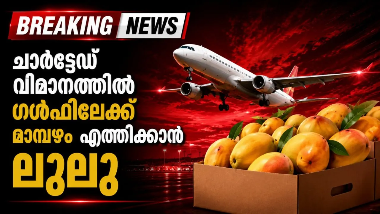 ചാർട്ടേഡ് വിമാനത്തില് ഗള്ഫിലേക്ക് മാമ്പഴം എത്തിക്കാന് ലുലു