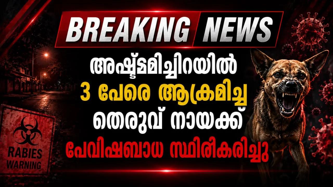 അഷ്ടമിച്ചിറയിൽ 3 പേരെ ആക്രമിച്ച തെരുവ് നായക്ക് പേവിഷബാധ സ്ഥിരീകരിച്ചു