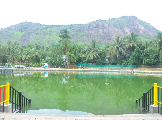 The Indian State