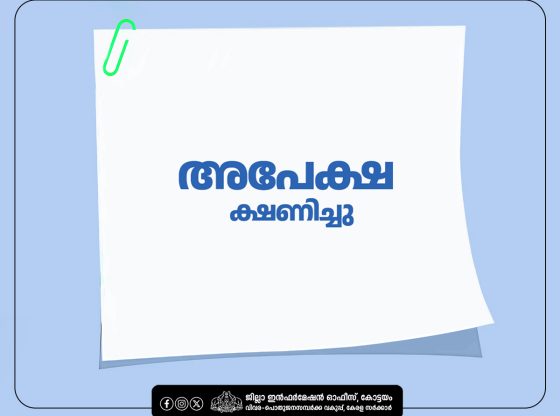 The Indian State